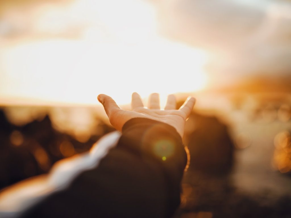 left-human-palm-eznmyxrs2yq